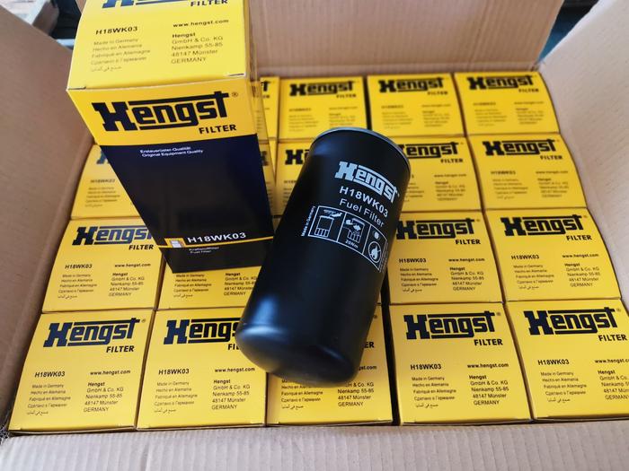 Hengst 亨斯特H18WK03 (1)